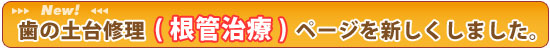 歯の土台修理(根管治療)ページを新しくしました。